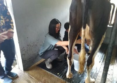 IMG-20190716-WA0019