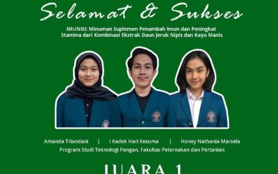 Mahasiswa Undip Juara 1 Kompetisi Bisnis Kewirausahaan HIPMI PT. Telkom