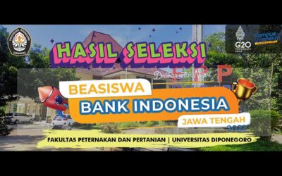 HASIL SELEKSI BEASISWA BANK INDONESIA TAHUN 2022