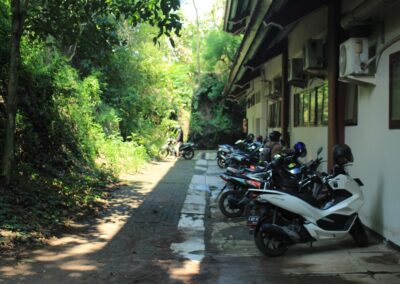 fpp undip 38