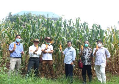 Smart Farming EN