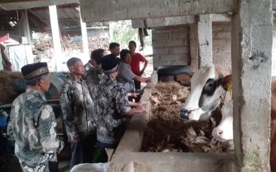 Departemen Peternakan FPP UNDIP Adakan Pelatihan Kesehatan Ternak dan Pembuatan Pakan Berkualitas bagi Peternak Sragen