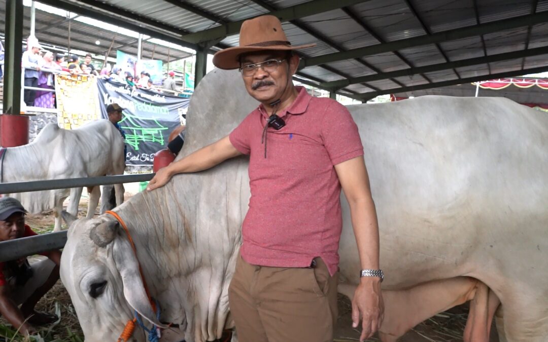 Sapi FPP Undip Raih Peringkat 6 Nasional Kontes APPSI Jawa Tengah