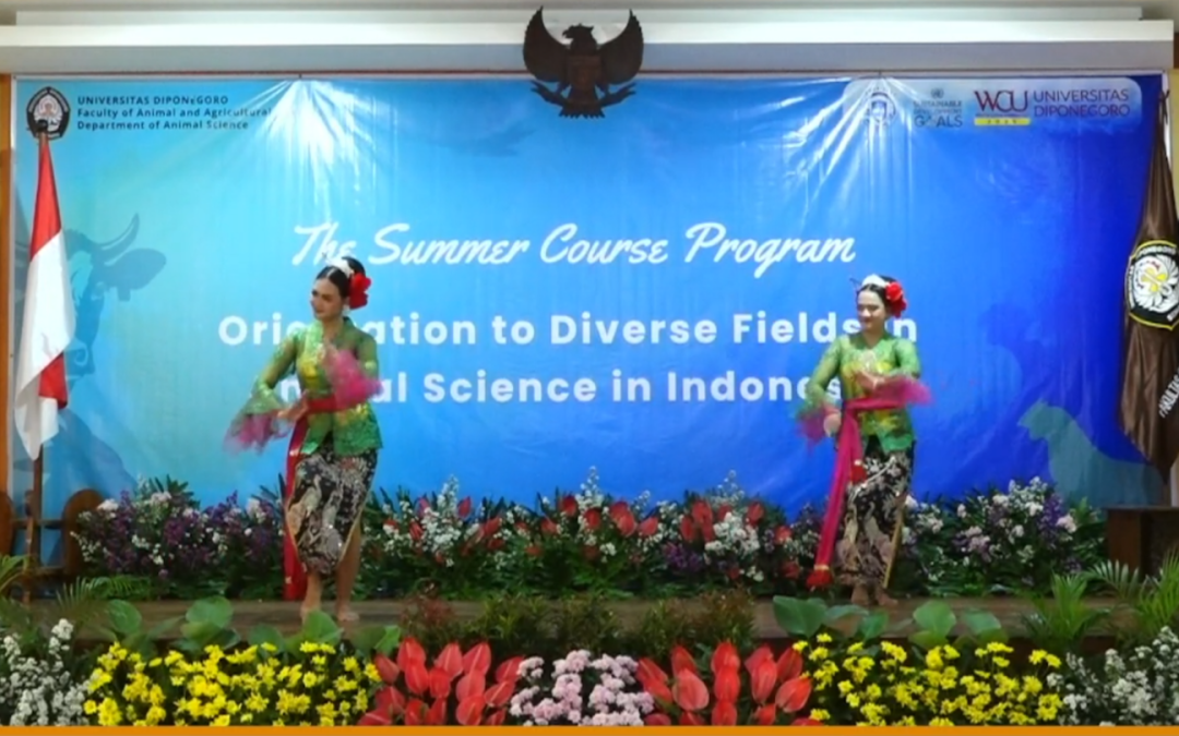 Summercourse S1 Peternakan 2025
